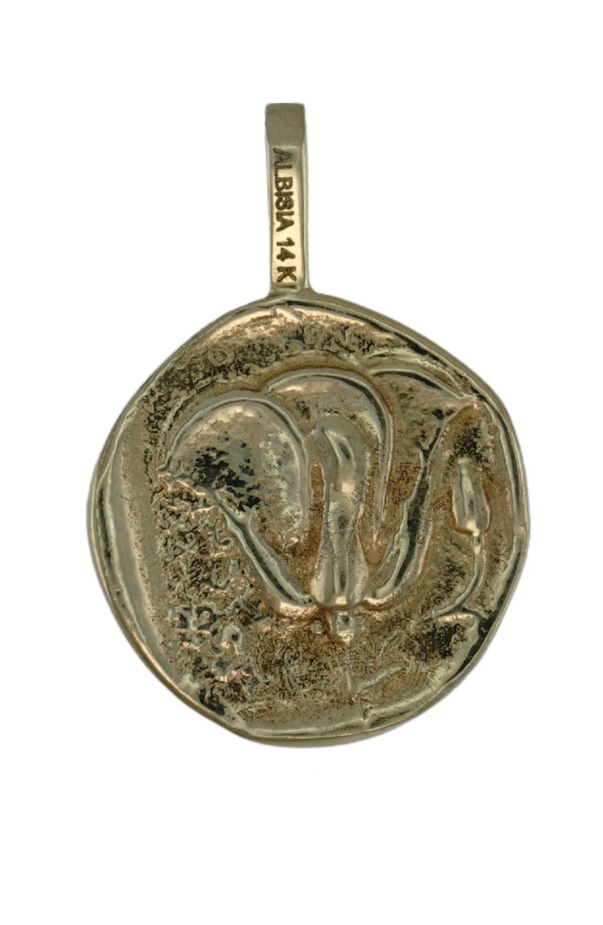 Helios Coin Pendant in 14k gold, view 2