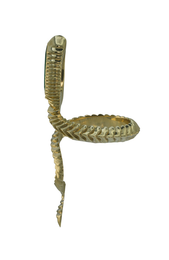 Moment of the Year Ring