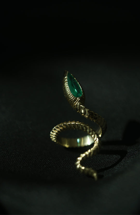 Moment of the Year Ring