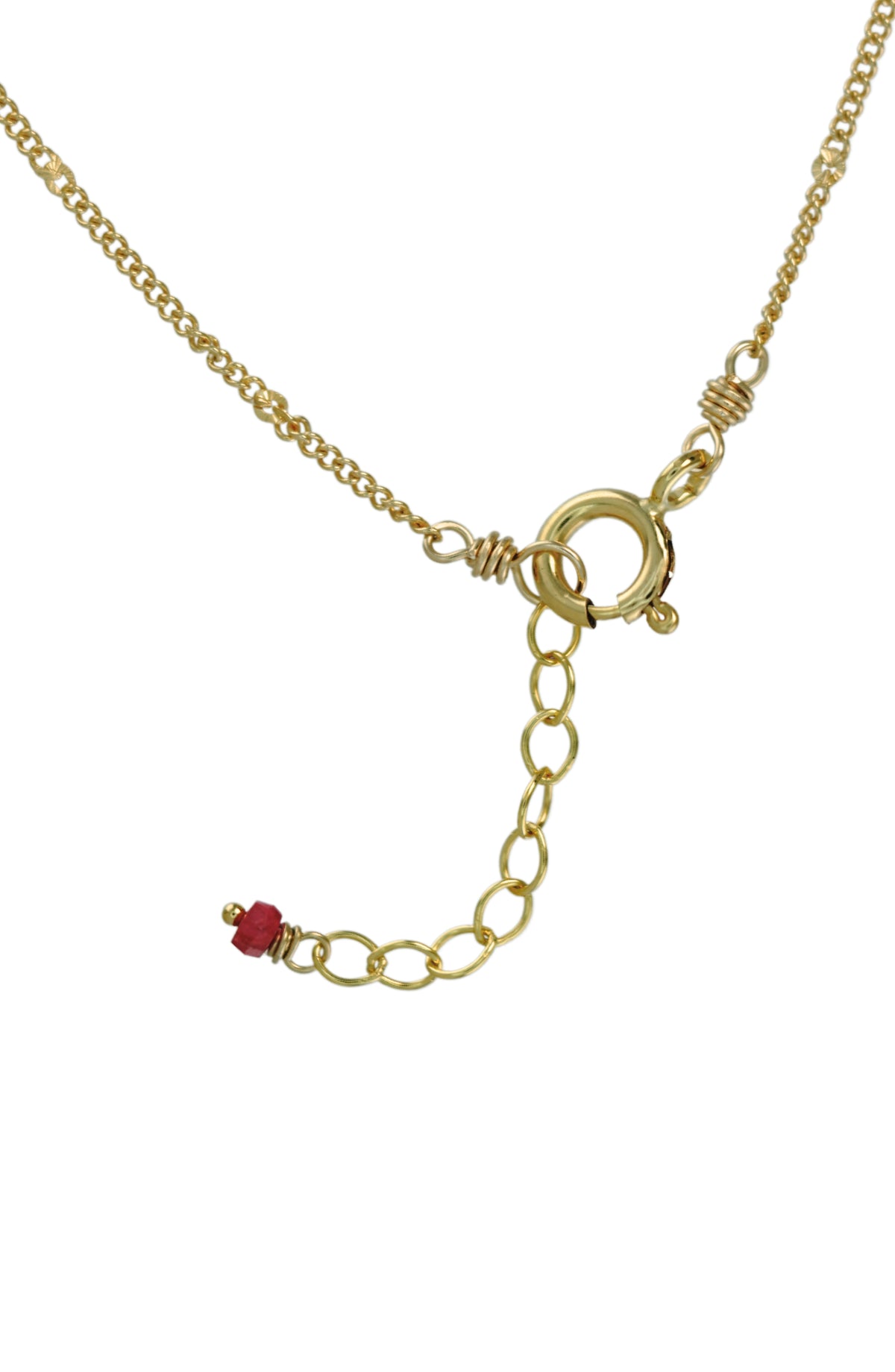 Serpent Necklace with Ruby in 14k gold filled, view 2